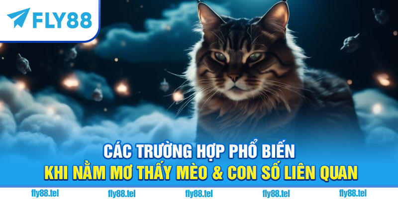 Nằm Mơ Thấy Mèo Là Điềm Gì? Giải Mã, Con Số Chuẩn 3 Các trường hợp phổ biến khi nằm mơ thấy mèo & con số liên quan